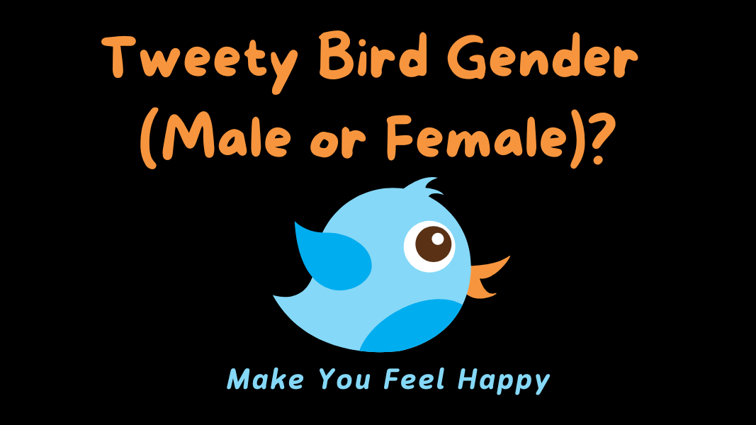 Tweety Bird Gender