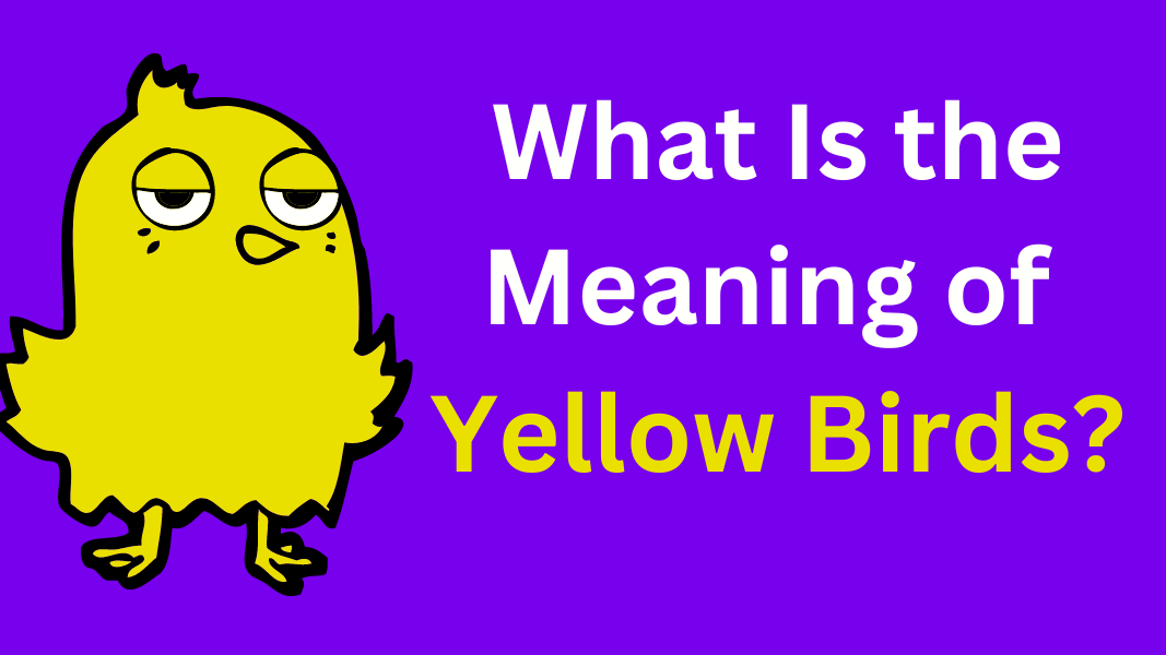 What Is the Meaning of Yellow Birds?